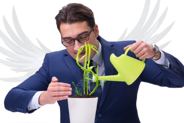 tax-savvy-from-investing-in-property